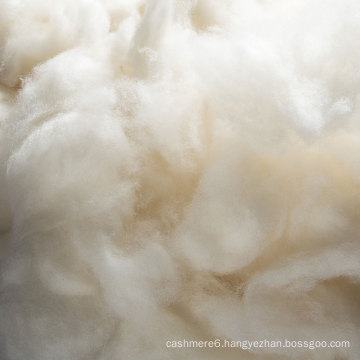 The hot sale of wool fiber